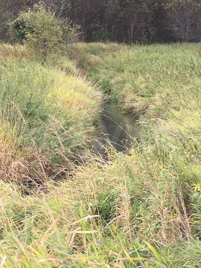 Участок 5 га (ИЖС)