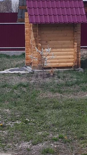 Дача 70 м² на участке 13 сот.