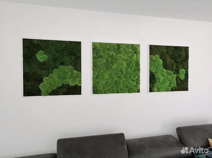 Панно из мха квадратное