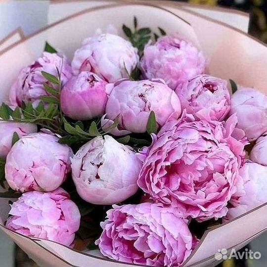 Пионы Букет