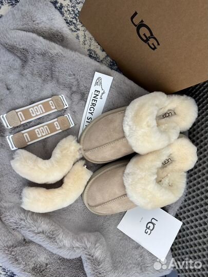 Тапки женские угги Ugg Slippers Disquette