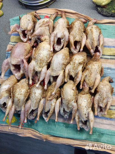 Домашнее мясо перепела,бройлера