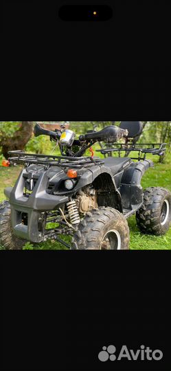 Avantis hunter 8 lux