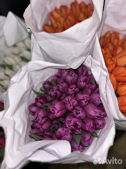 Тюльпаны к 8 марта