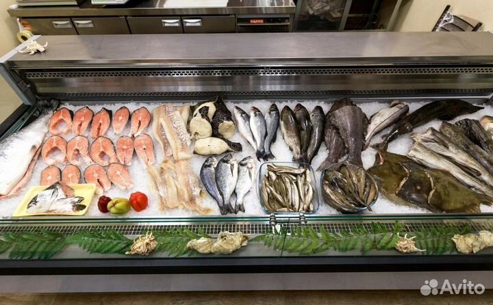 Готовый бизнес: рыбный магазин в центре