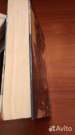 Книга Дикая роза