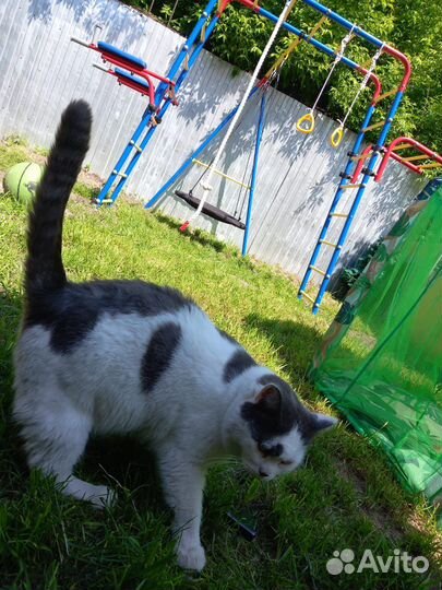 Детский уличные комплексы