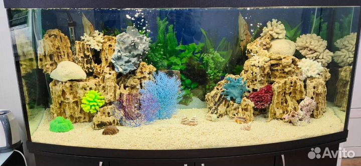 Чистка аквариума. Срочный выезд