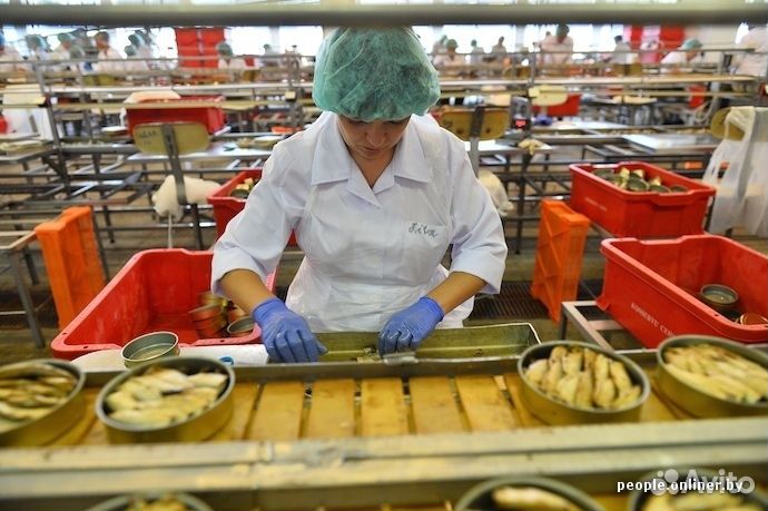 Фасовщица (ик) шпрот. Ежедневные выплаты. Вахта