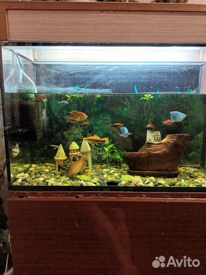 Украшение для аквариума