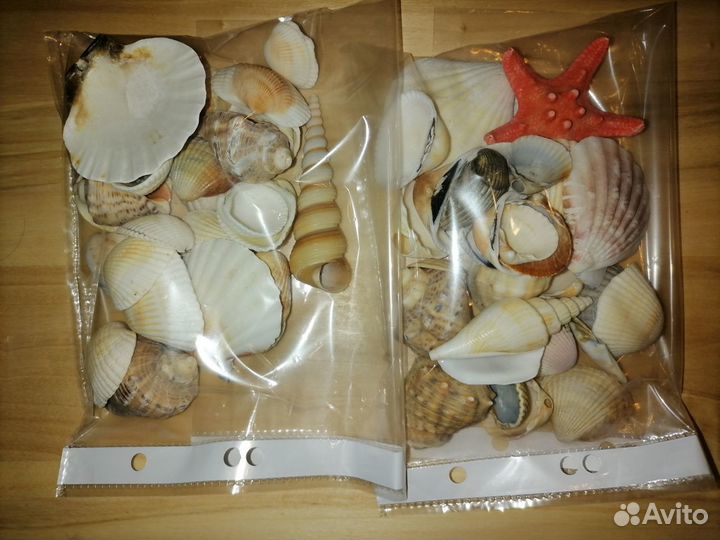 Ракушки для аквариума