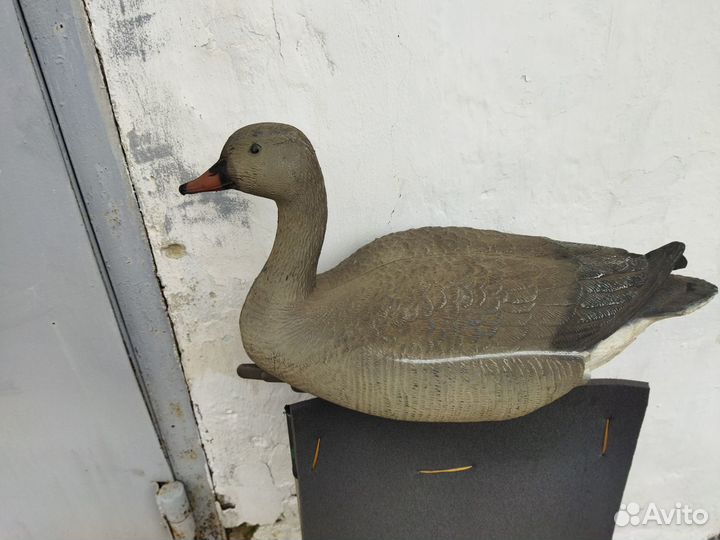 Чучело гуся(Италия)