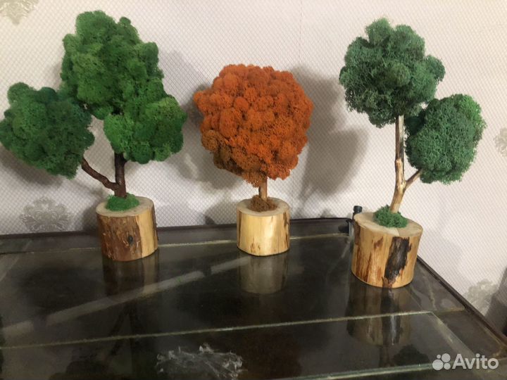 Стабилизированный мох для прдедок