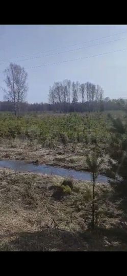 Участок 16,3 га (СНТ, ДНП)