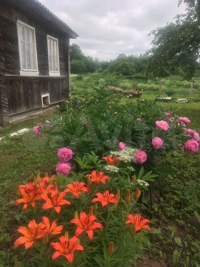 Дом 41,9 м² на участке 52 сот.