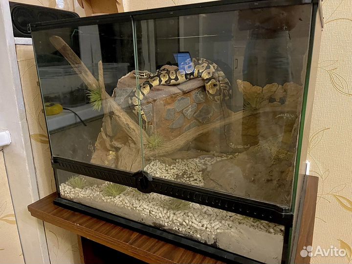 Террариум 60x45x45 см, NomoyPet