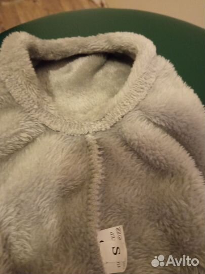 Домашние животные собаки