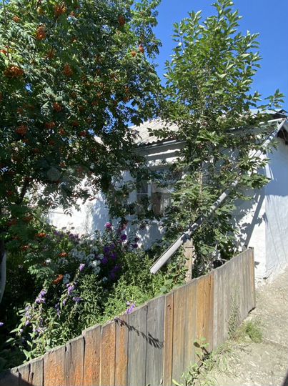 Дом 57 м² на участке 12 сот.