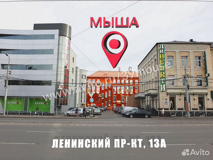 Ноутбуки большой выбор