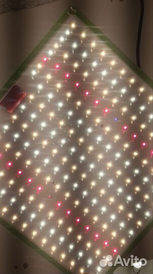 Фитолампа для растений полный спектр