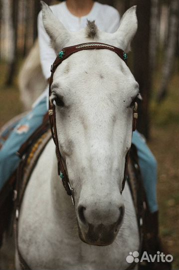 Продам кобылу