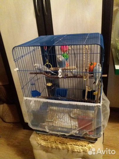 Защитный чехол на клетку для попугаев