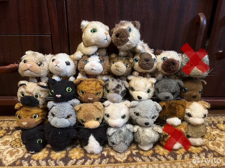 The Cat Collection