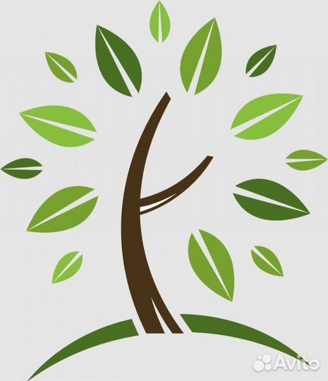 Администратор Spa