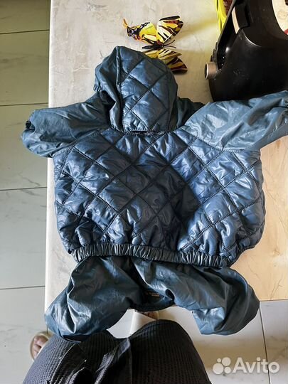 Кабенизон для шпица