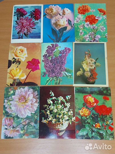 Открытки СССР