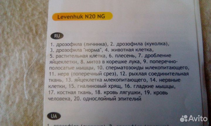 Новый микроскоп Levenhuk Rainbow 2L