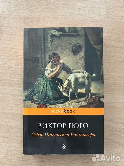 Собор парижской богоматери Виктор Гюго