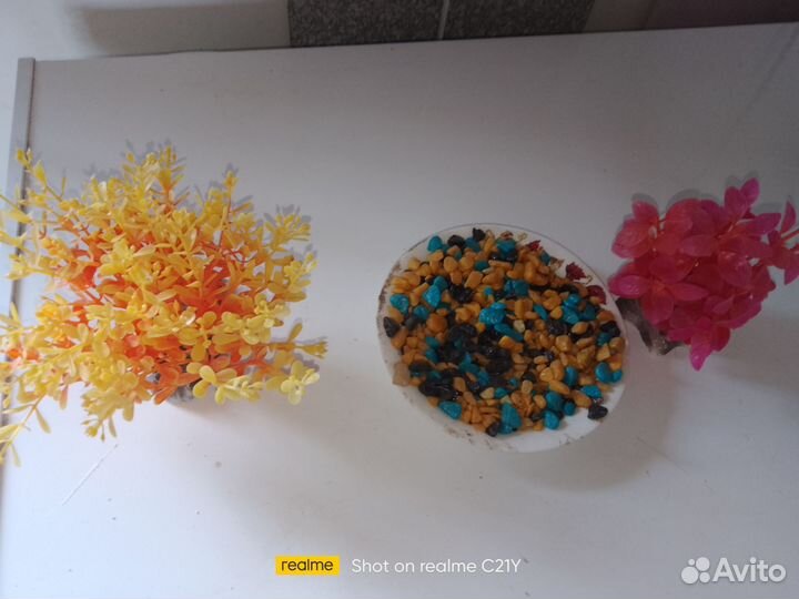 Аквариум без тумбы