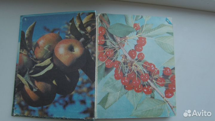 Книга. Ваш сад.Ярославцев.Е.И. 1991