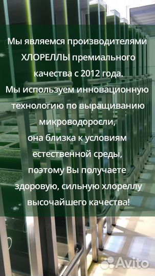 Хлорелла высокой плотности для водоемов