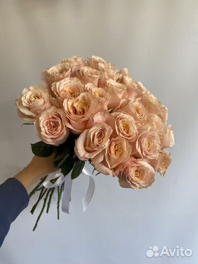 Розы Шиммер