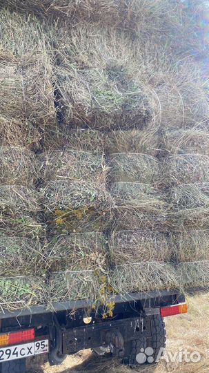 Сено и солома