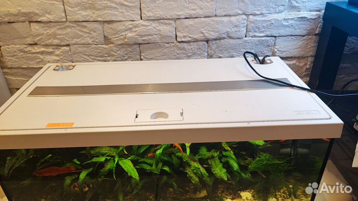 Аквариум Eheim Aquastar 54 LED, белый, 54 л. Б/У
