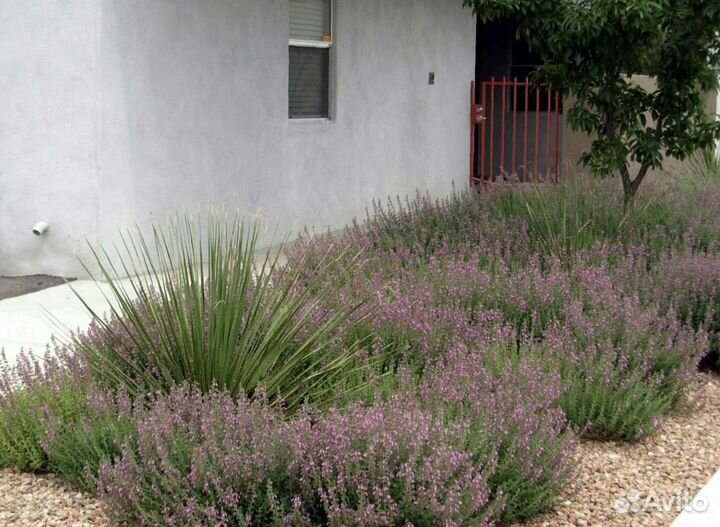 Дубровник зкс