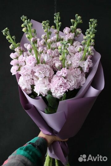 Матеолла, цветы, букет доставка