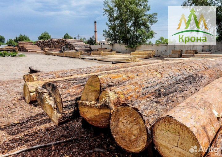 Купить обрезную доску