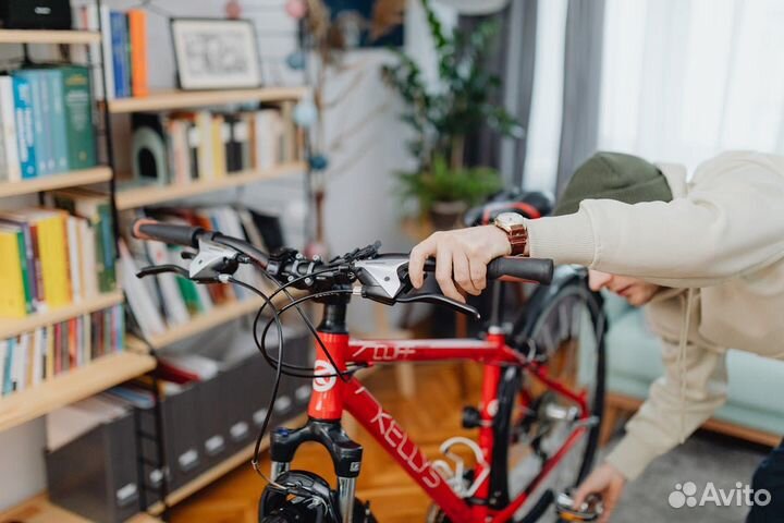 Автоэлектрик с выездом только оживление авто 24 7