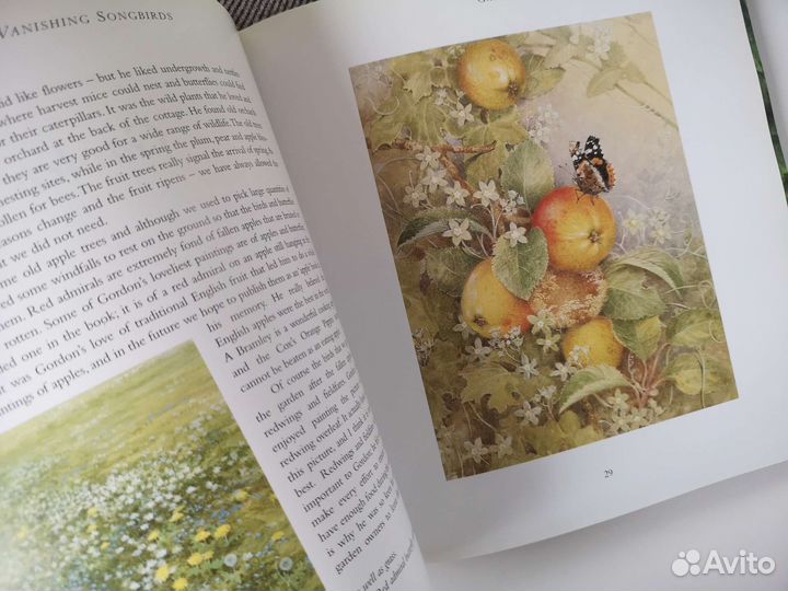 Винтажная книга о природе Англия