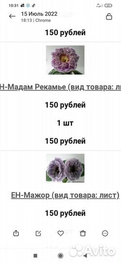 Глоксиния махровая сортовая