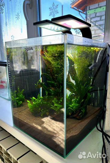 Аквариум Aquael куб 30л