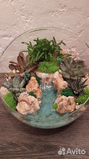 Флорариум подарок девушке