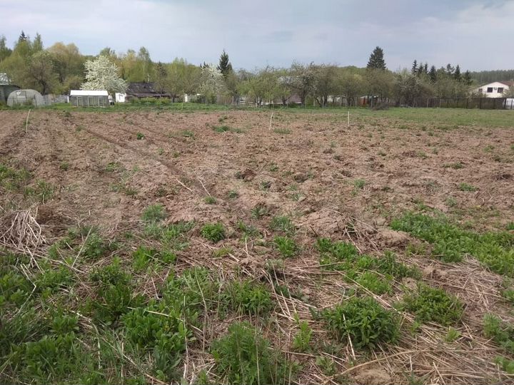 Участок 18 сот. (СНТ, ДНП)
