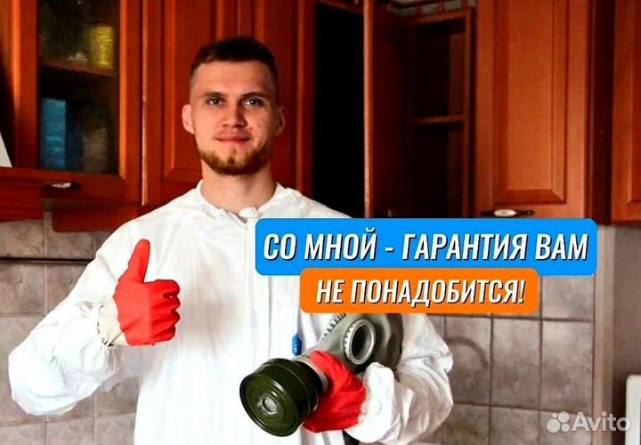 Дезинсекция от насекомых