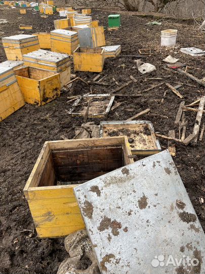 Рамки для ульев