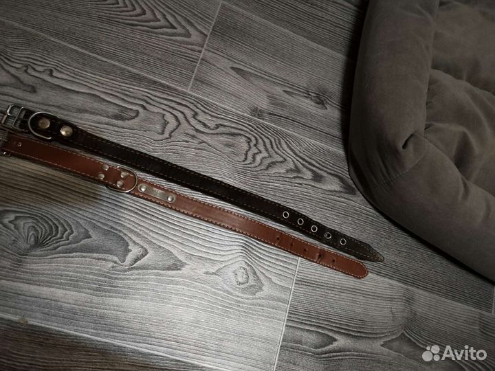 Ошейник для собак